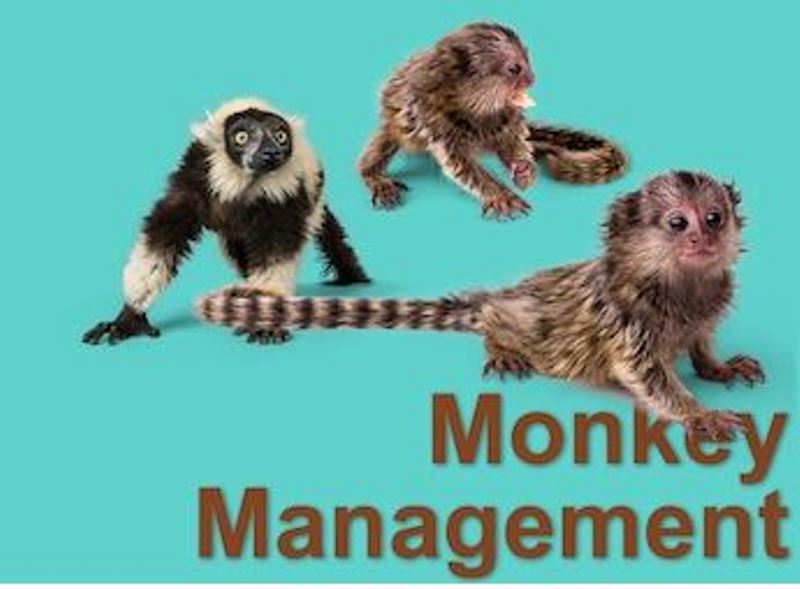 Monkeymanagement